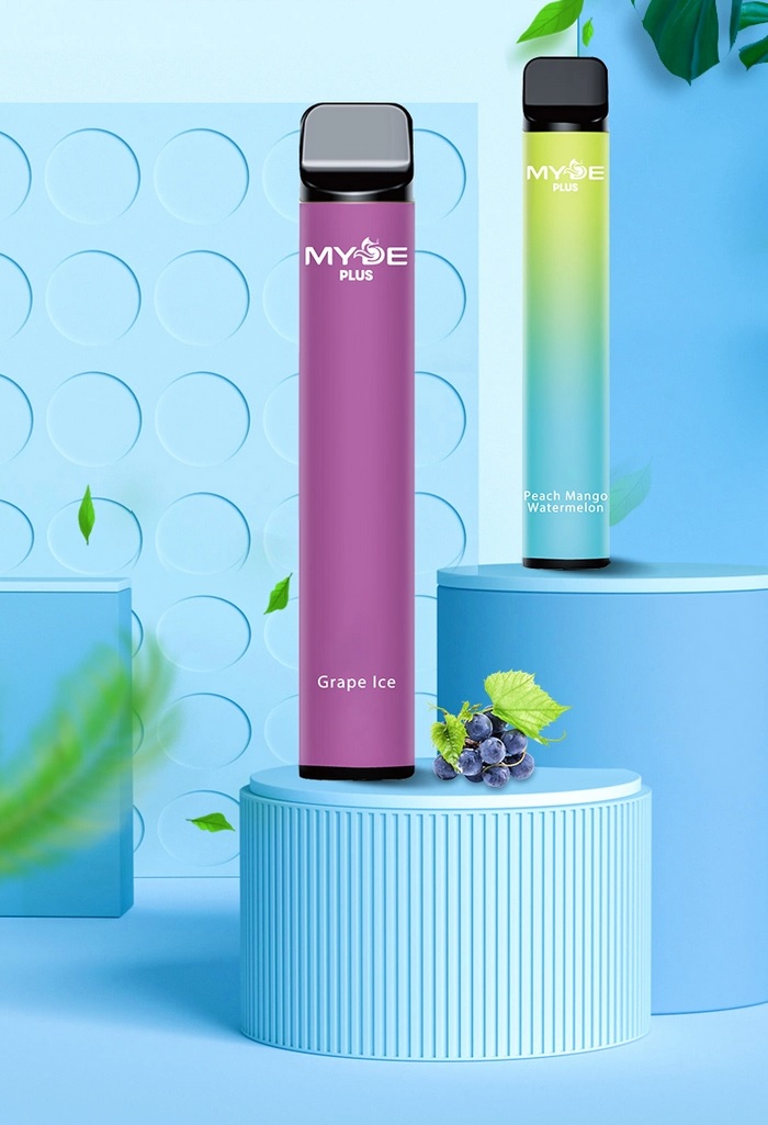Einweg Vape MYDE Plus 600 Traube Ice